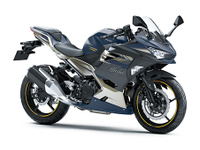 Ｎｉｎｊａ　２５０
