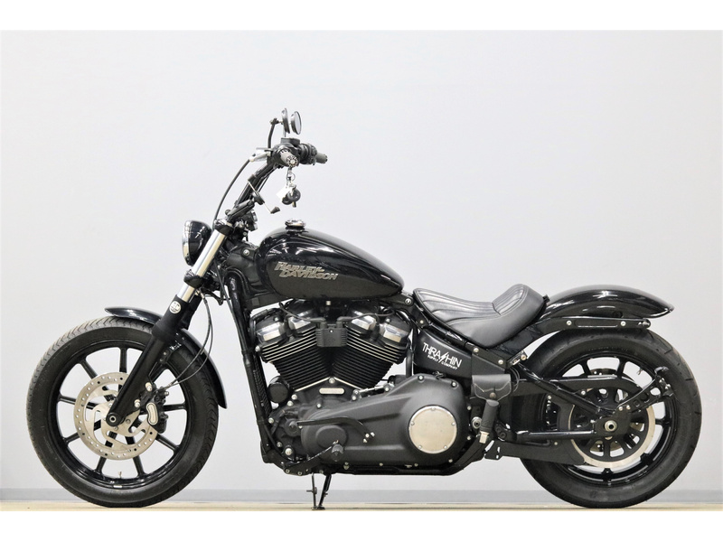 【中古】 ダイエットへの警鐘/サイエンティスト社/フランシス・Ｍ．バーグ フランク・可動性改良型骨格モデル，吊り下げ型スタンド仕様