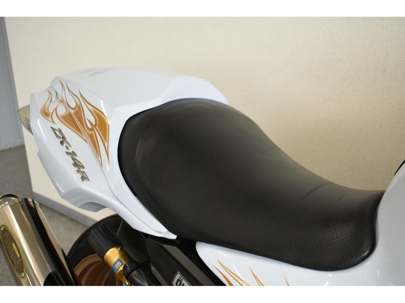 カワサキ Ninja ZX－14R OHLINS ED (1226801