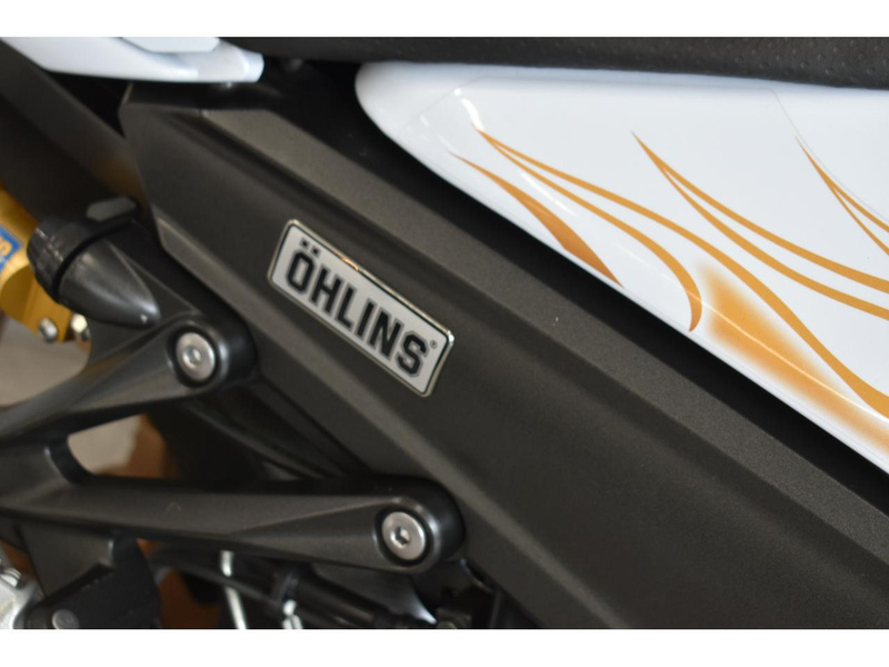 カワサキ Ninja ZX－14R OHLINS ED (1226801