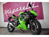 Ｎｉｎｊａ ２５０ＳＬ