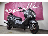 バーグマン２００