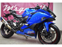 Ｎｉｎｊａ　ＺＸ－４Ｒ　ＳＥ