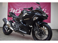 Ｎｉｎｊａ　４００