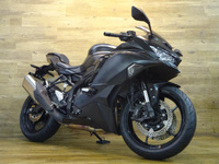Ｎｉｎｊａ　ＺＸ－４Ｒ　ＳＥ