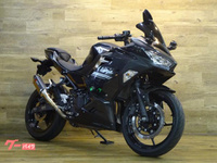 Ｎｉｎｊａ　２５０