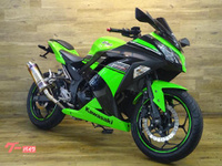 Ｎｉｎｊａ　２５０