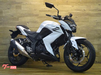 Ｚ２５０