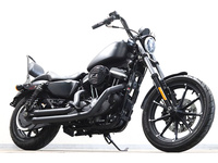 ハーレーＸＬ８８３Ｎ　アイアン