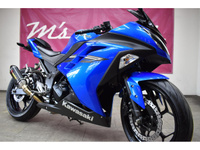 Ｎｉｎｊａ　２５０