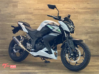 Ｚ２５０
