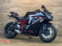 Ｎｉｎｊａ　ＺＸ－２５Ｒ