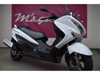 バーグマン２００