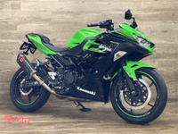 Ｎｉｎｊａ　２５０