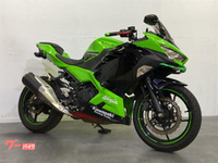 Ｎｉｎｊａ　２５０