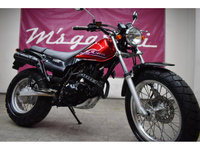 TW225E