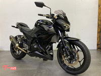 Ｚ２５０