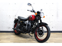 Ｗ８００　スペシャルＥＤ