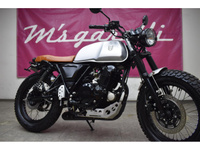 マットモーター　ＡＫＩＴＡ２５０
