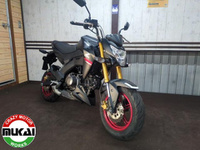 Ｚ１２５　ＰＲＯ