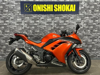 Ｎｉｎｊａ　２５０