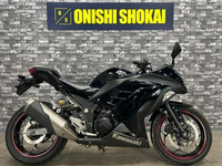 Ｎｉｎｊａ　２５０