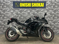 Ｎｉｎｊａ　２５０