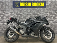 Ｎｉｎｊａ　２５０