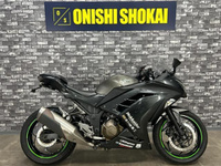Ｎｉｎｊａ　２５０