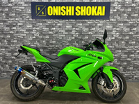 Ｎｉｎｊａ　２５０