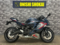 Ｎｉｎｊａ　ＺＸ－２５Ｒ