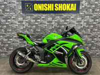 Ｎｉｎｊａ　２５０
