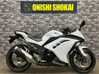 Ｎｉｎｊａ　２５０