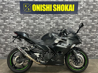 Ｎｉｎｊａ　２５０