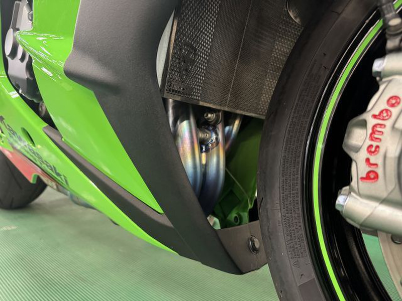 売約済　
コンギクス×アンソルギー　ポリプテルス　熱帯魚　大型魚　古代魚 カワサキ Ninja ZX－10R (1197140) | 中古バイク・新車の事
