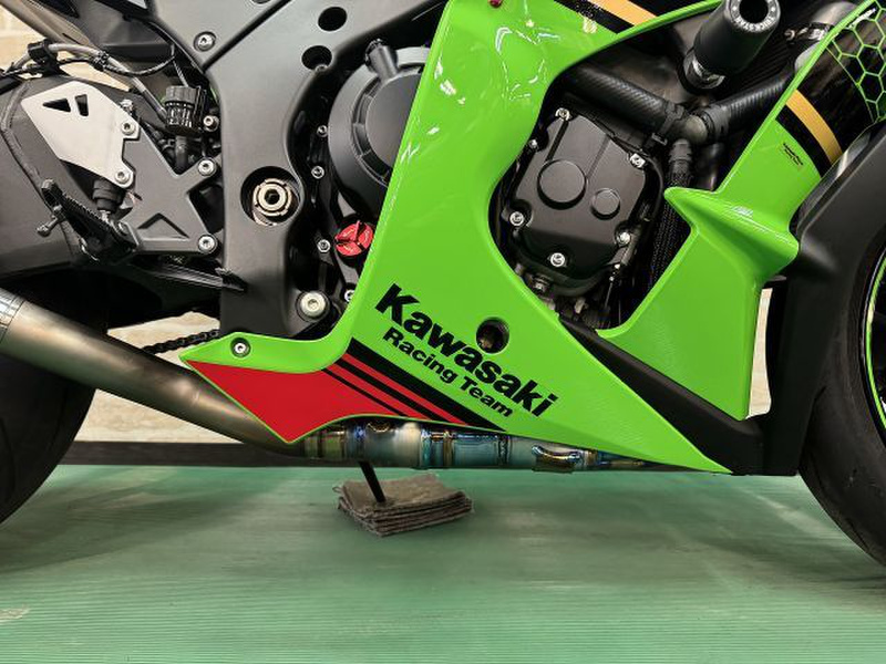 売約済　
コンギクス×アンソルギー　ポリプテルス　熱帯魚　大型魚　古代魚 カワサキ Ninja ZX－10R (1197140) | 中古バイク・新車の事