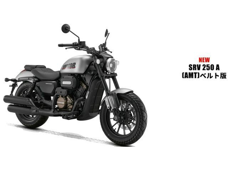 SRV 250 S 自賠責あり　1月まで！　交換歓迎 ヤマハ SRV250 (1208496) | 中古バイク・新車の事ならバイクの窓口