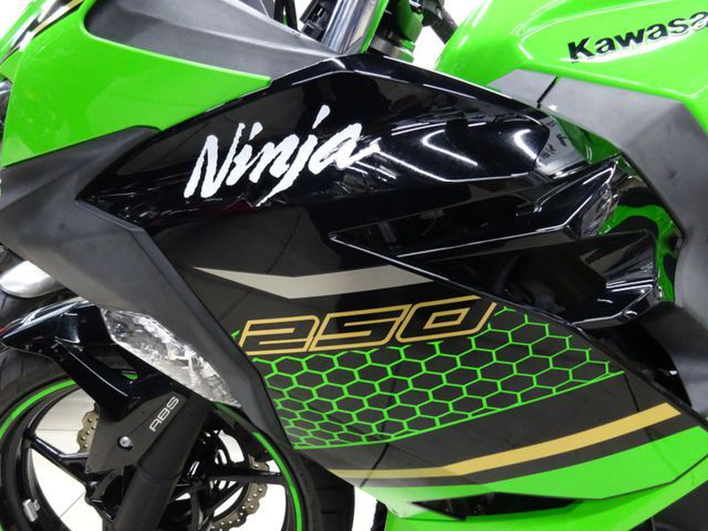 カワサキ Ninja 250 (1219255) | 中古バイク・新車の事なら