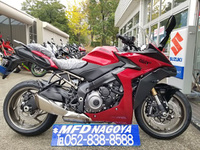 GSX-S1000GT