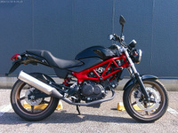 VTR250
