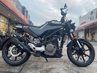 スヴァルトピレン　Ｓｖａｒｔｐｉｌｅｎ２５０スバルトピレン