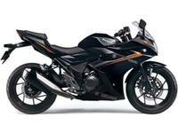 ＧＳＸ２５０Ｒ