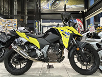 Ｖ－Ｓｔｒｏｍ　ＳＸ