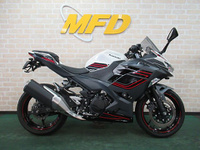 Ｎｉｎｊａ　４００