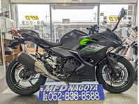 Ｎｉｎｊａ　２５０　ＡＢＳ