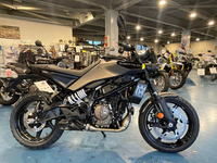スヴァルトピレン　Ｓｖａｒｔｐｉｌｅｎ２５０スバルトピレン