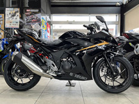 ＧＳＸ２５０Ｒ