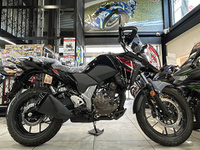 Ｖ－Ｓｔｒｏｍ　ＳＸ