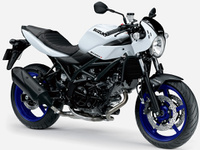 ＳＶ６５０