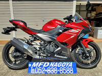 Ｎｉｎｊａ　２５０